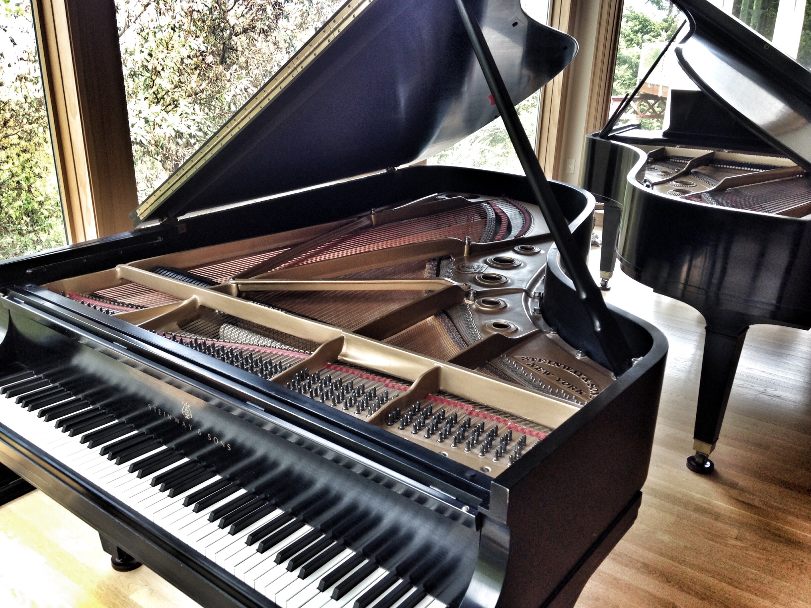 Steinway - Sterling Piano Tuning